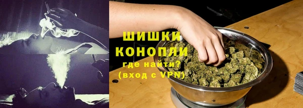 спиды Каменногорск