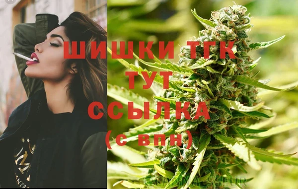 спиды Каменногорск