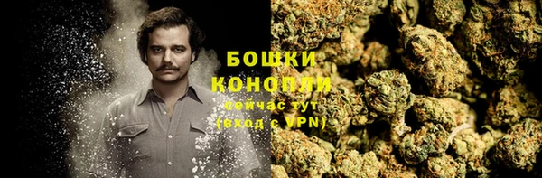 спиды Каменногорск