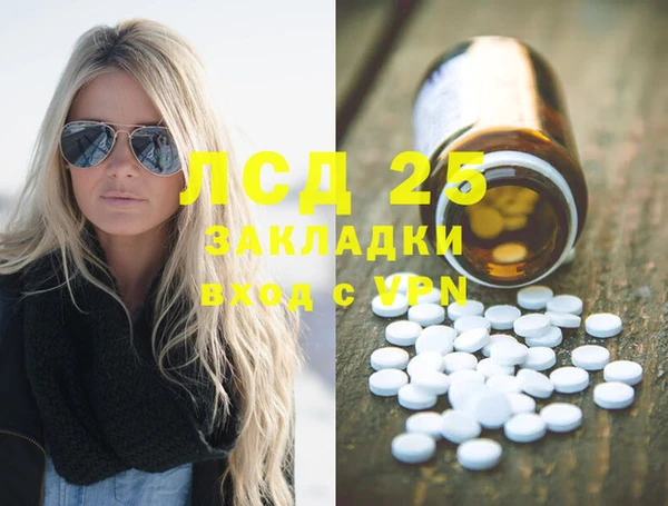 спиды Каменногорск