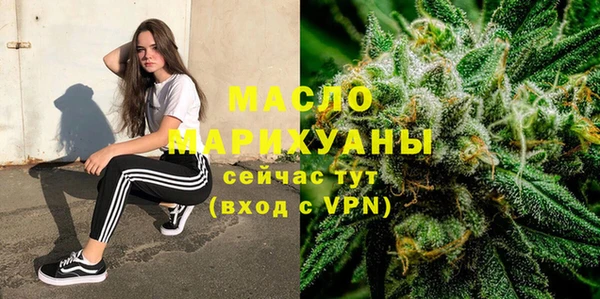 спиды Каменногорск
