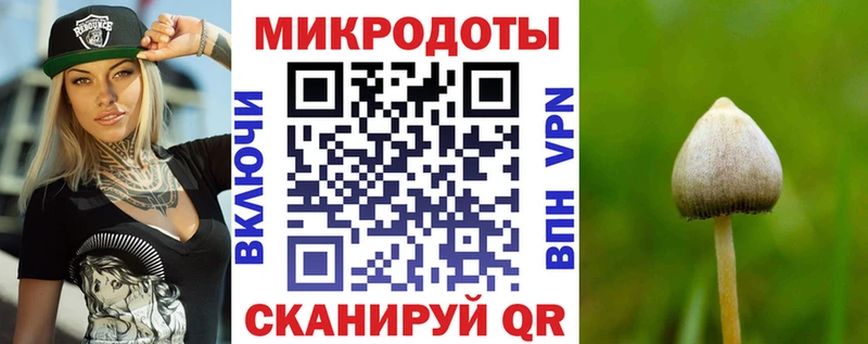 дарнет шоп  ссылка на мегу зеркало  Псилоцибиновые грибы MAGIC MUSHROOMS  Северская 